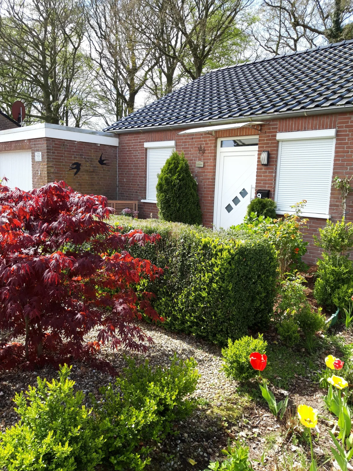 Schwalbennest Ostfriesland