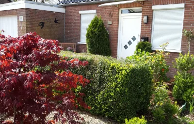 Schwalbennest Ostfriesland