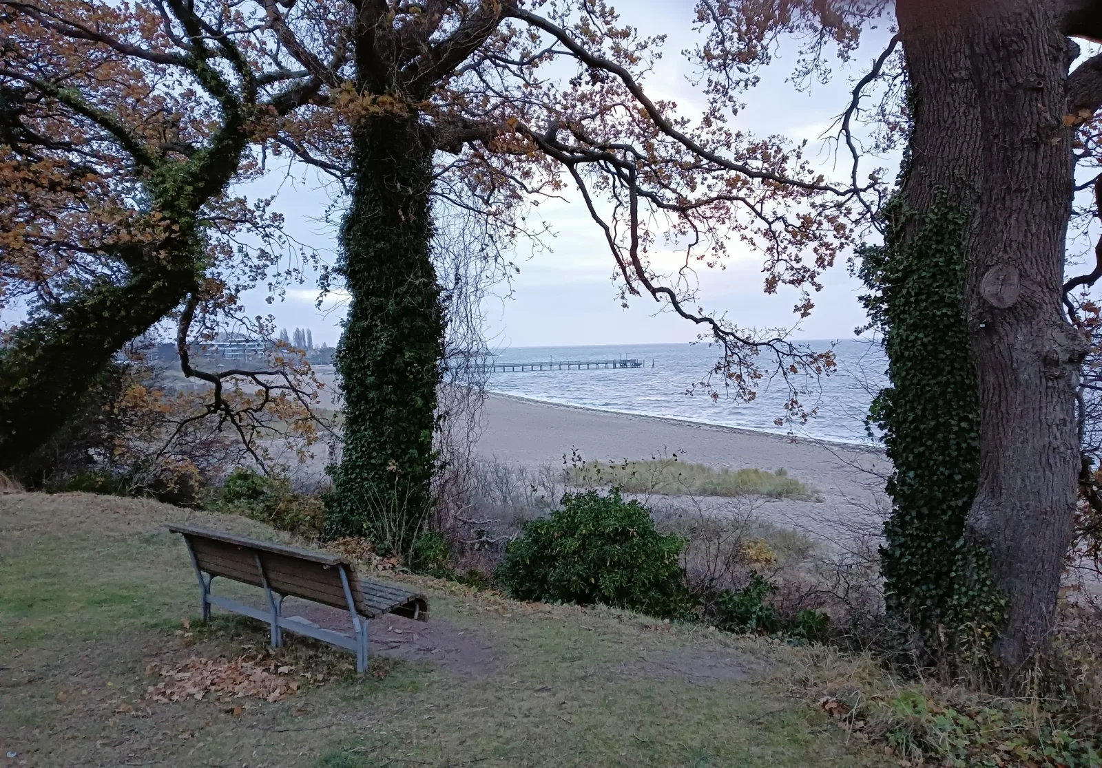 Fewo Muschelgetuschel im Prinz Hamlet - Pool und direkte Strandlage