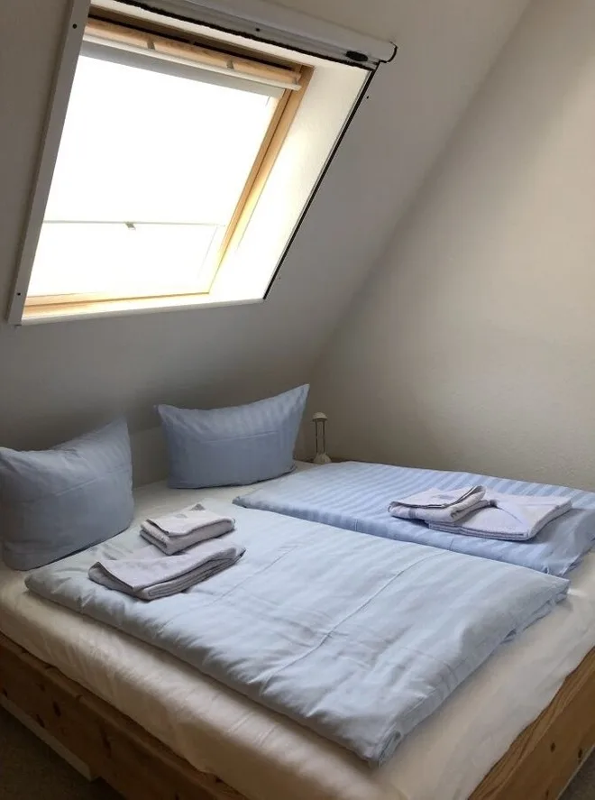 Strandmuschel