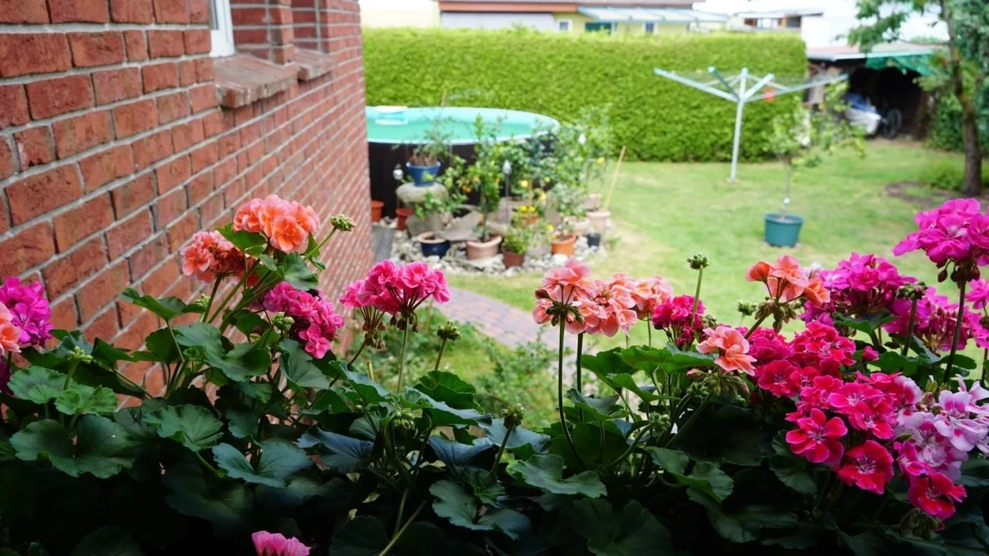 Pension Limone Ferienwohnung 1