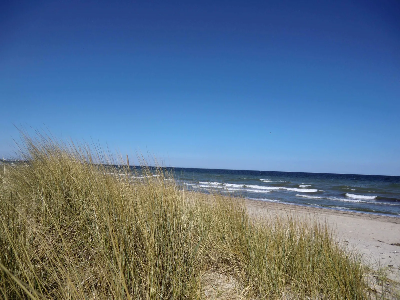 Strandliebe