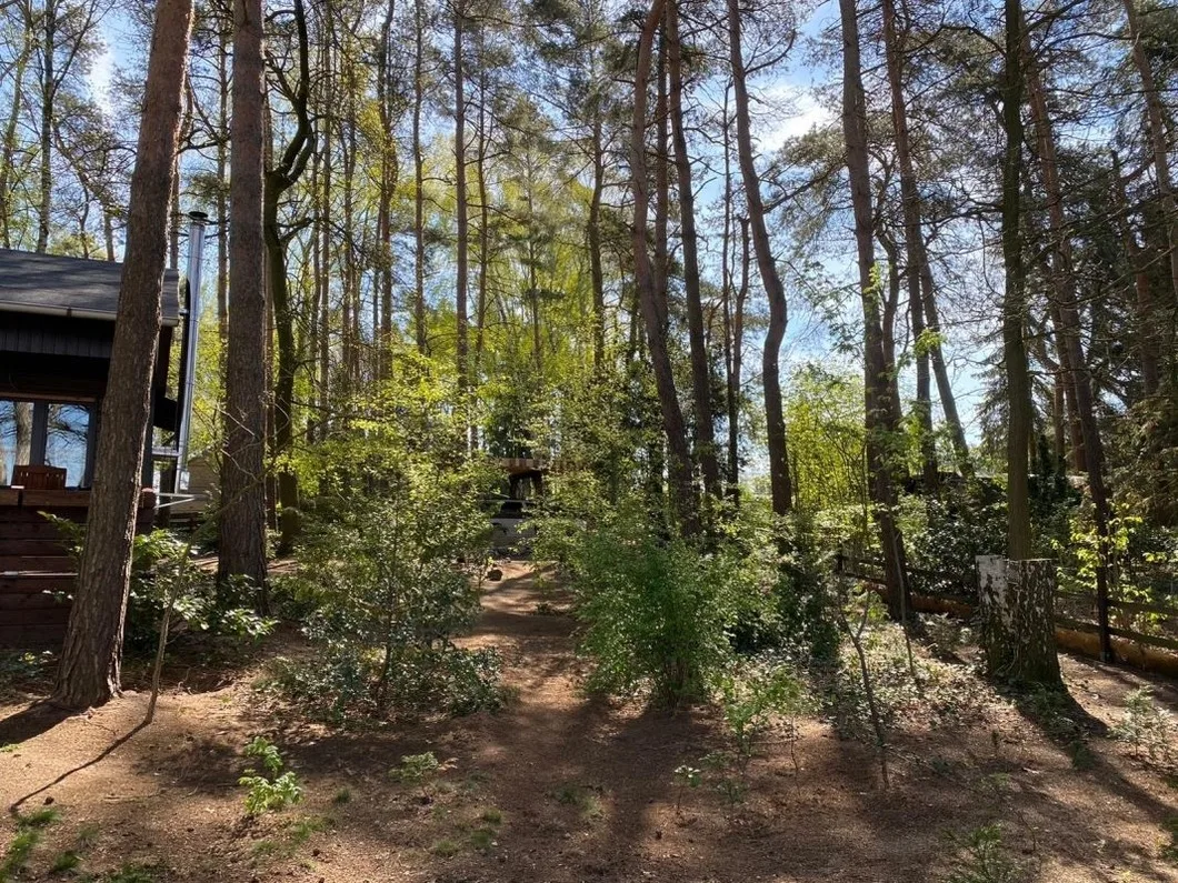 Wittingen