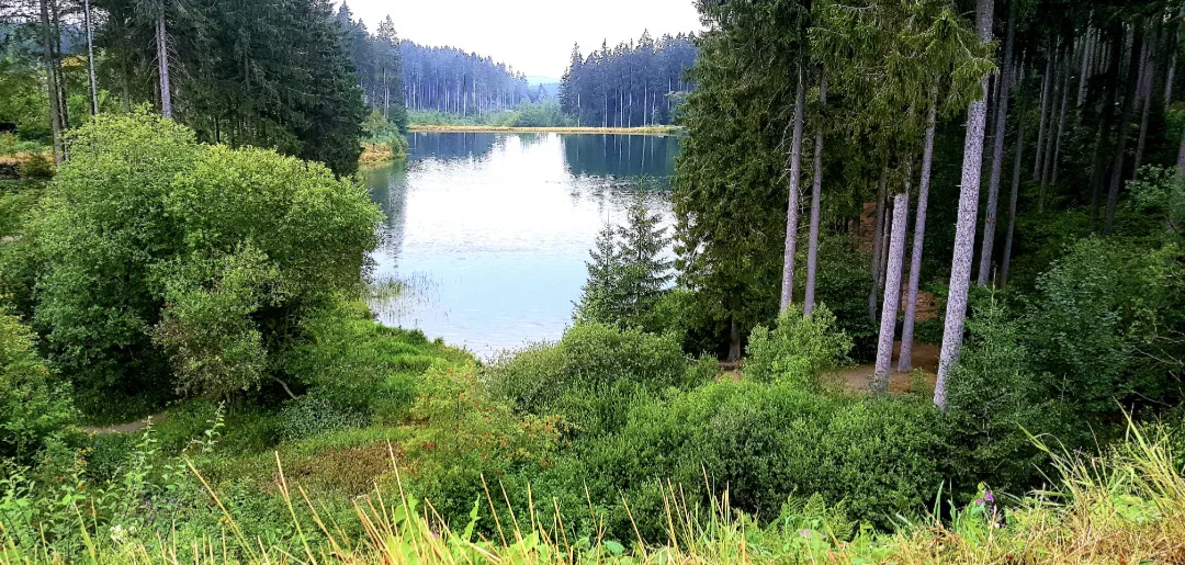 Kleine Freiheit Apartment am See