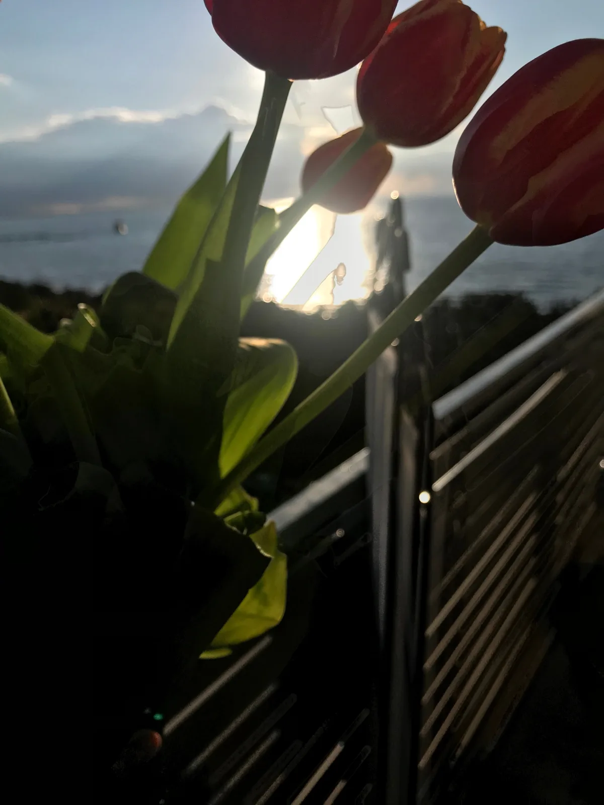 Traum Meerblick / 1.Reihe Strand / Meerblick Balkon /Misdroy Strand / Seebrücke/ Zentrum/ Top Lage/ Boxbett 3 Pers.
