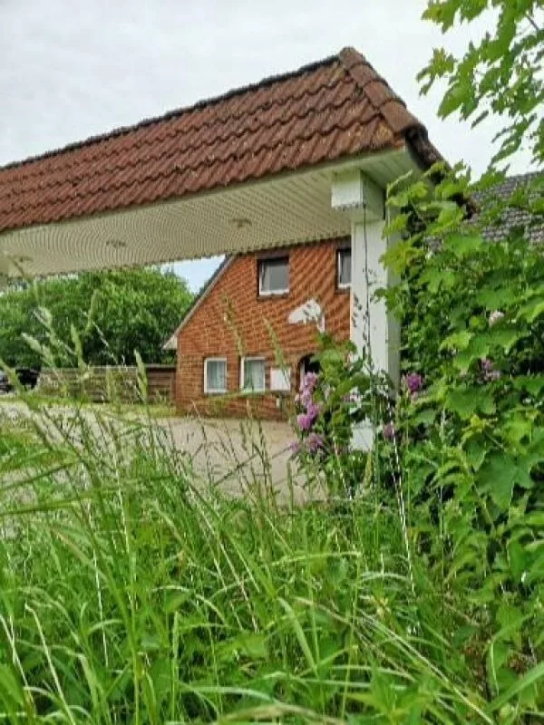 "zum Aal"