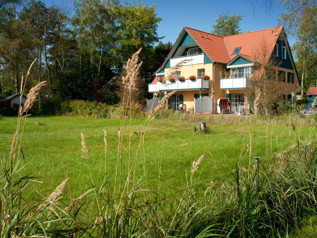 Möwennest