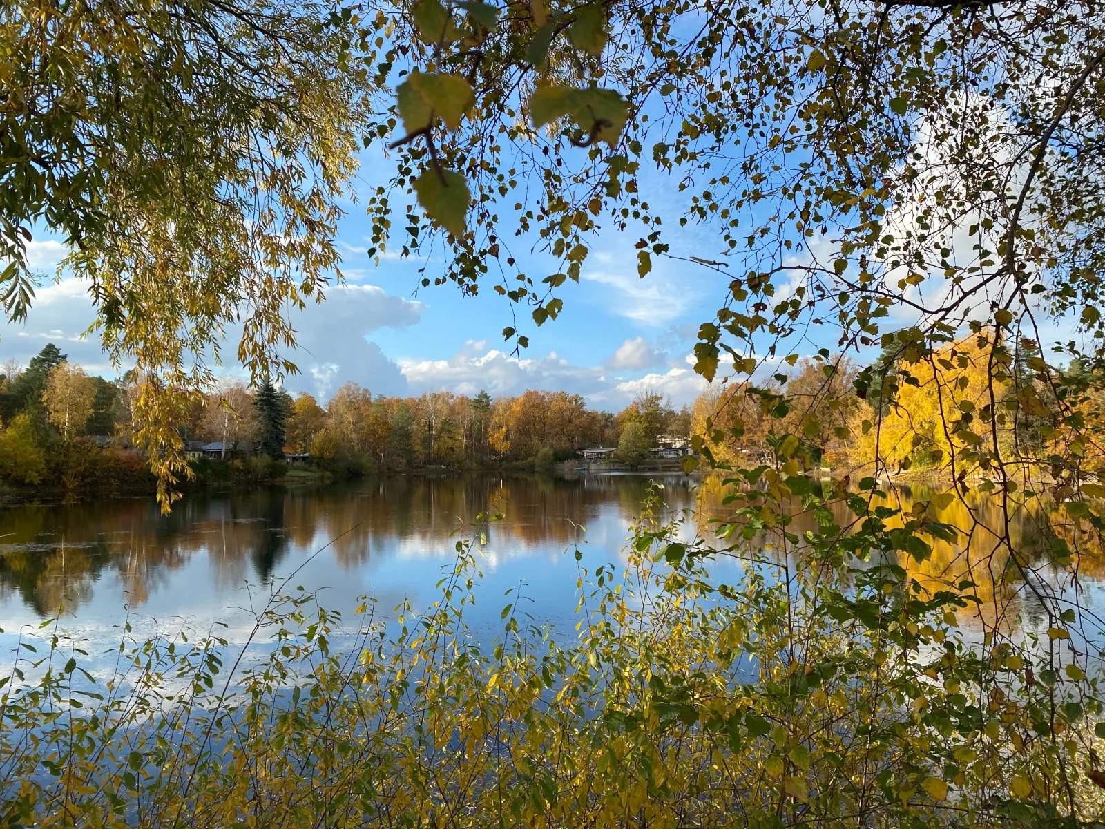 Waterfront 5