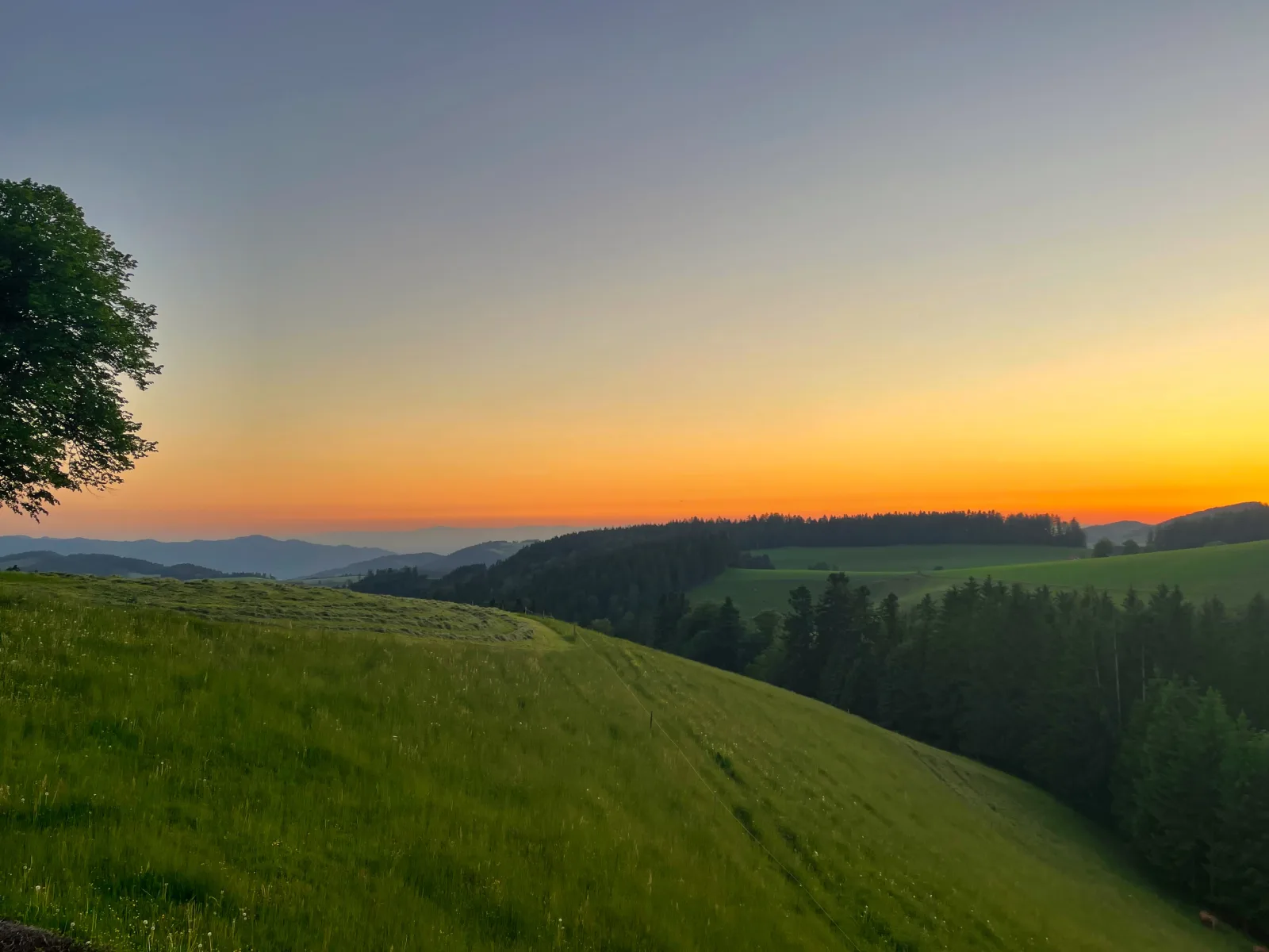 Haus Julia