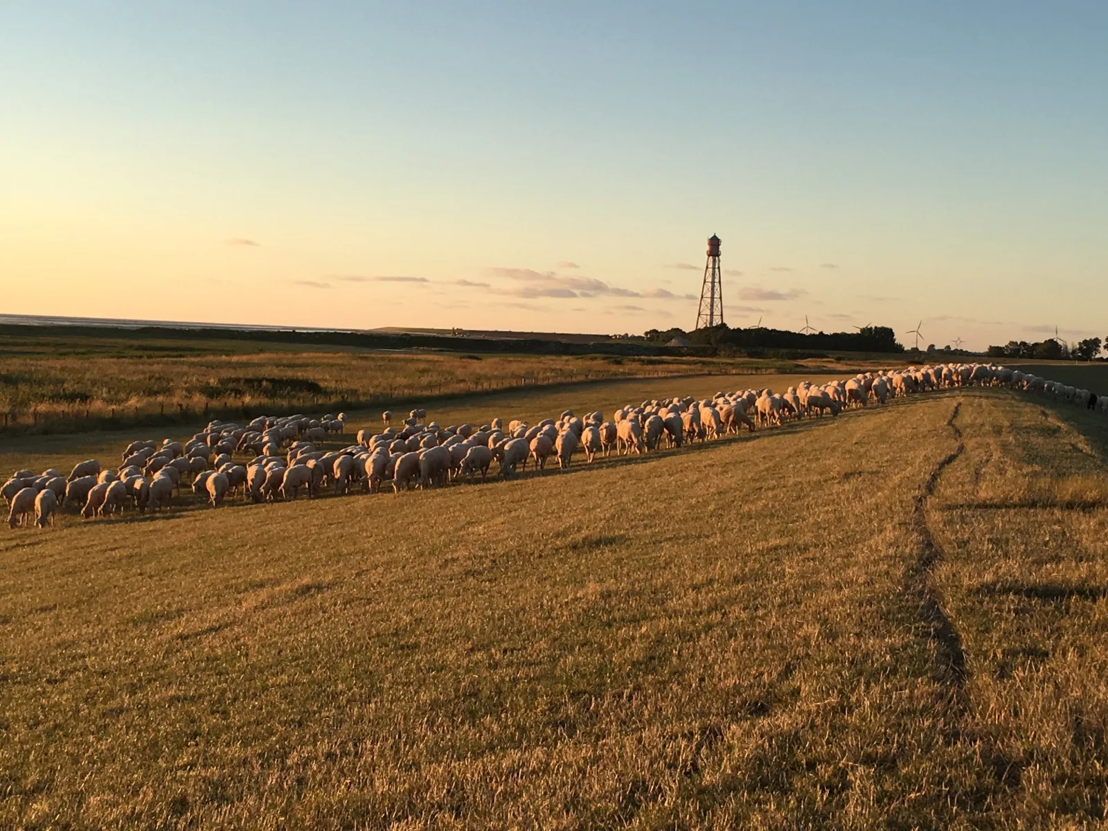 Nordseebrise Krummhörn/Loquard