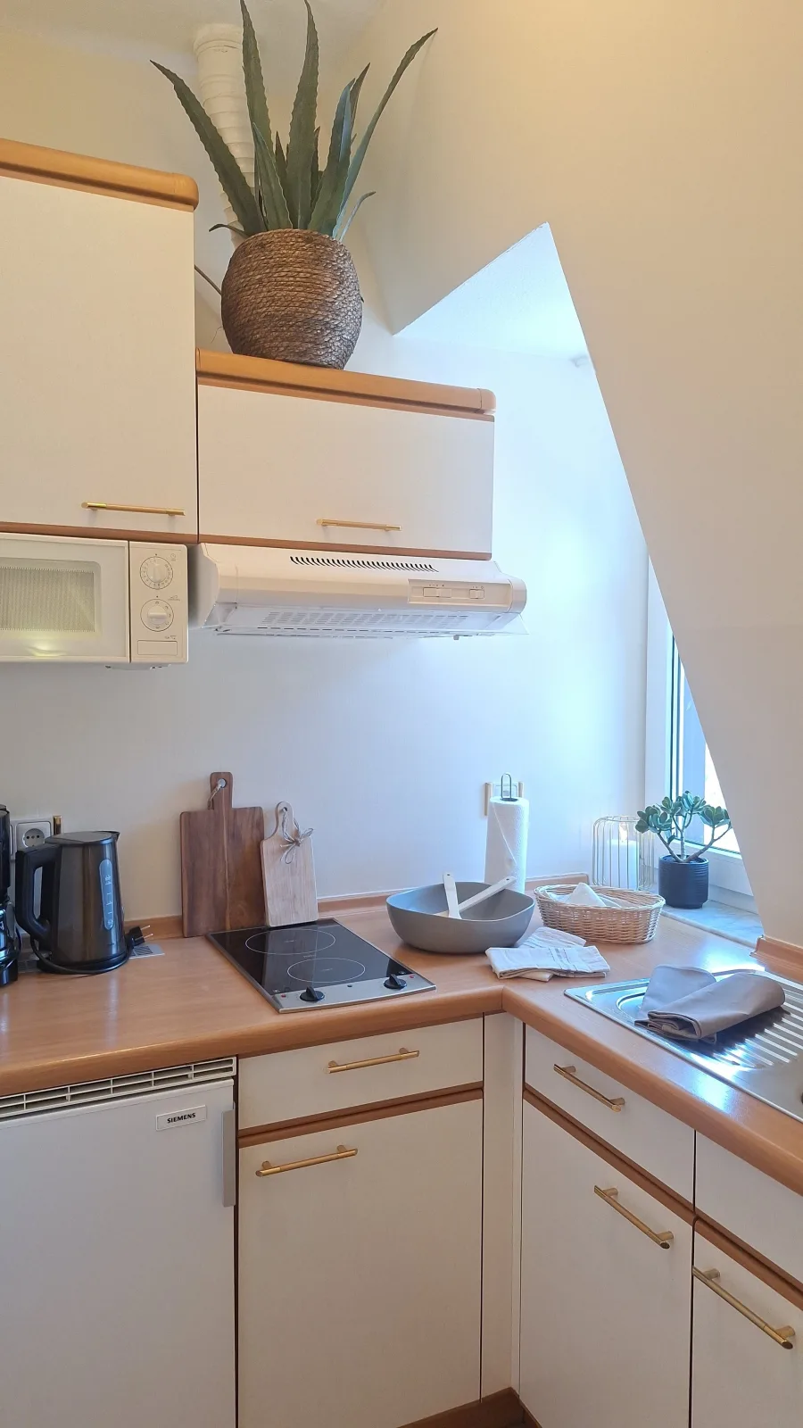 1 Raum Apartment großer Balkon