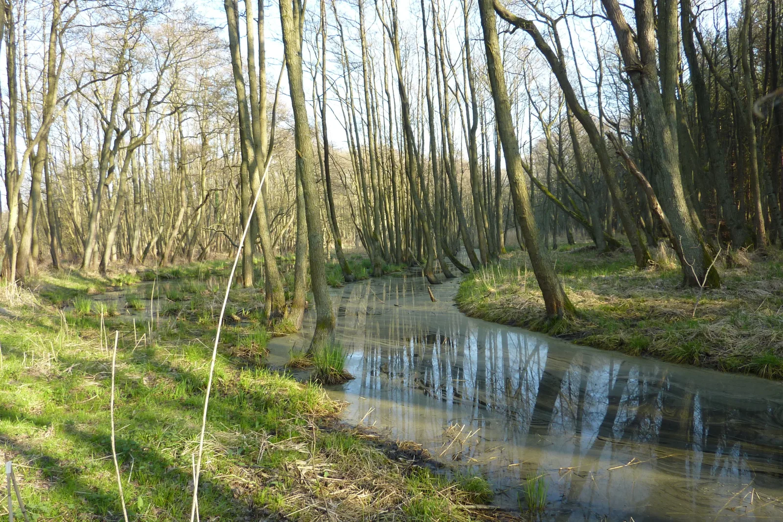 FeWo Seeadler - Heuser Prerow