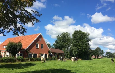 Ostfriesland Ferien Villa - 24 Personen - Sauna, Whirlpool , Kino, und Bar