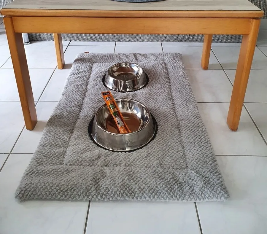 Appartement 5