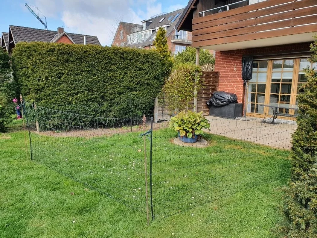 Appartement 6