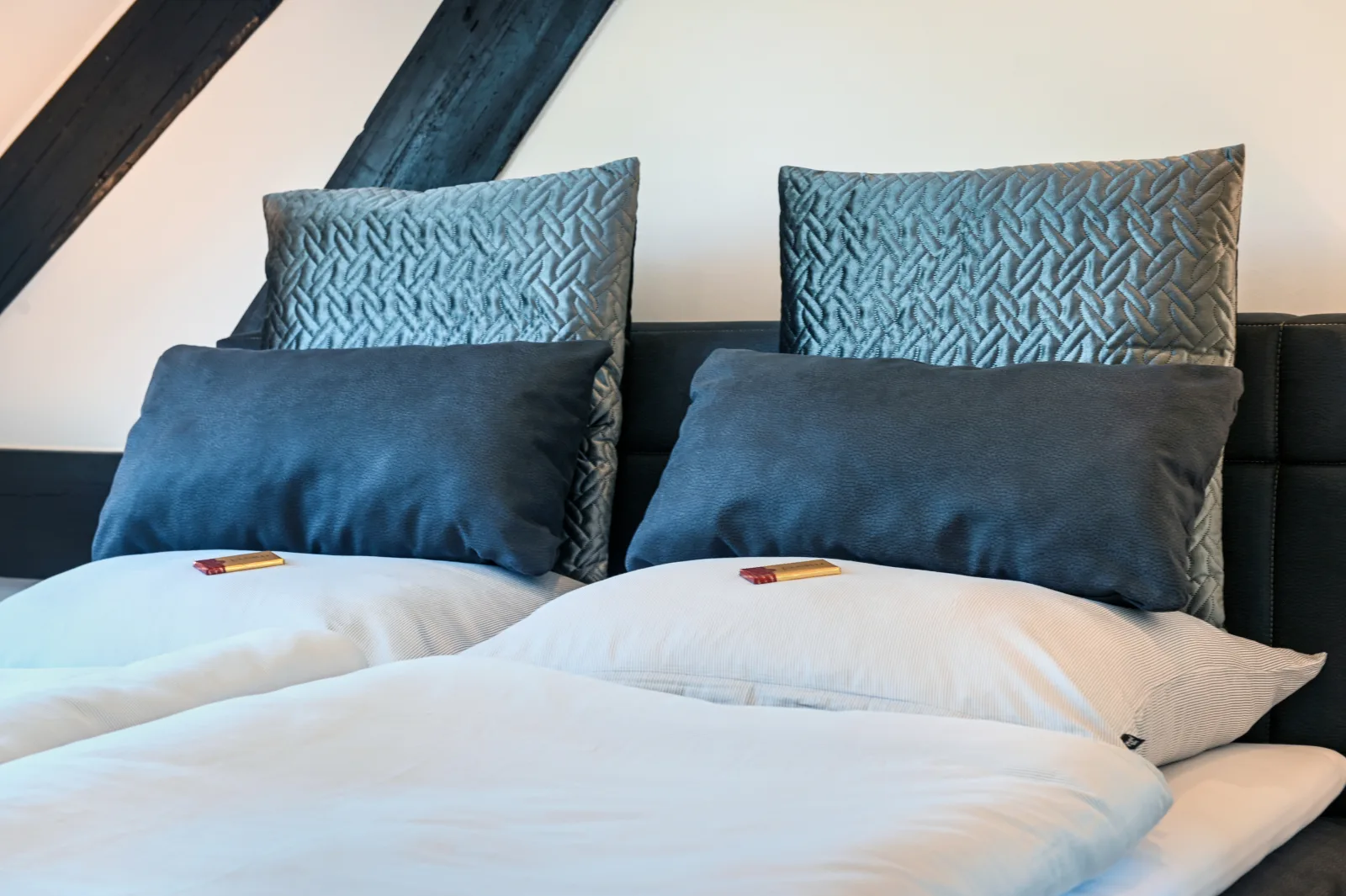 Tor-Apartment im Herrenhaus Rheinblick