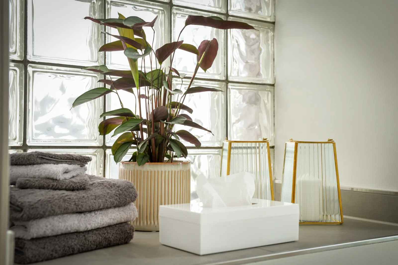 Dom-Apartment im Herrenhaus Rheinblick