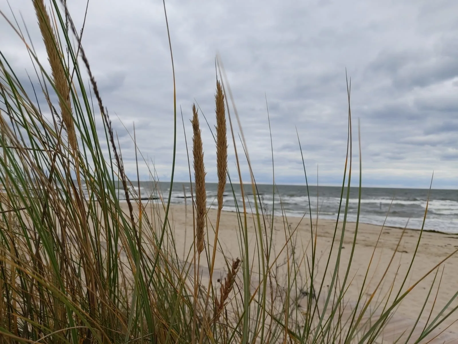 Ostsee Ferienhaus Usedom (hundefreundlich) Familie Stopp Haus 22