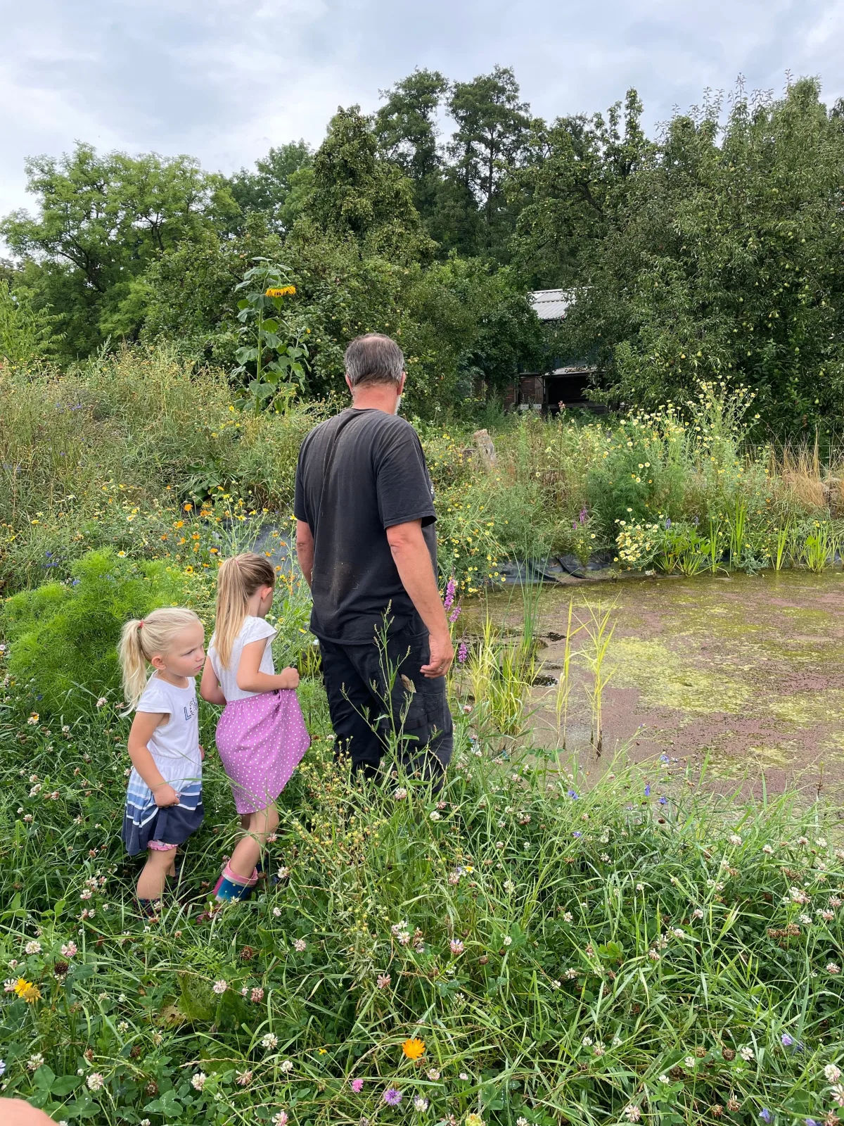 Naturhof Buschwiesen - Wohnung Lama