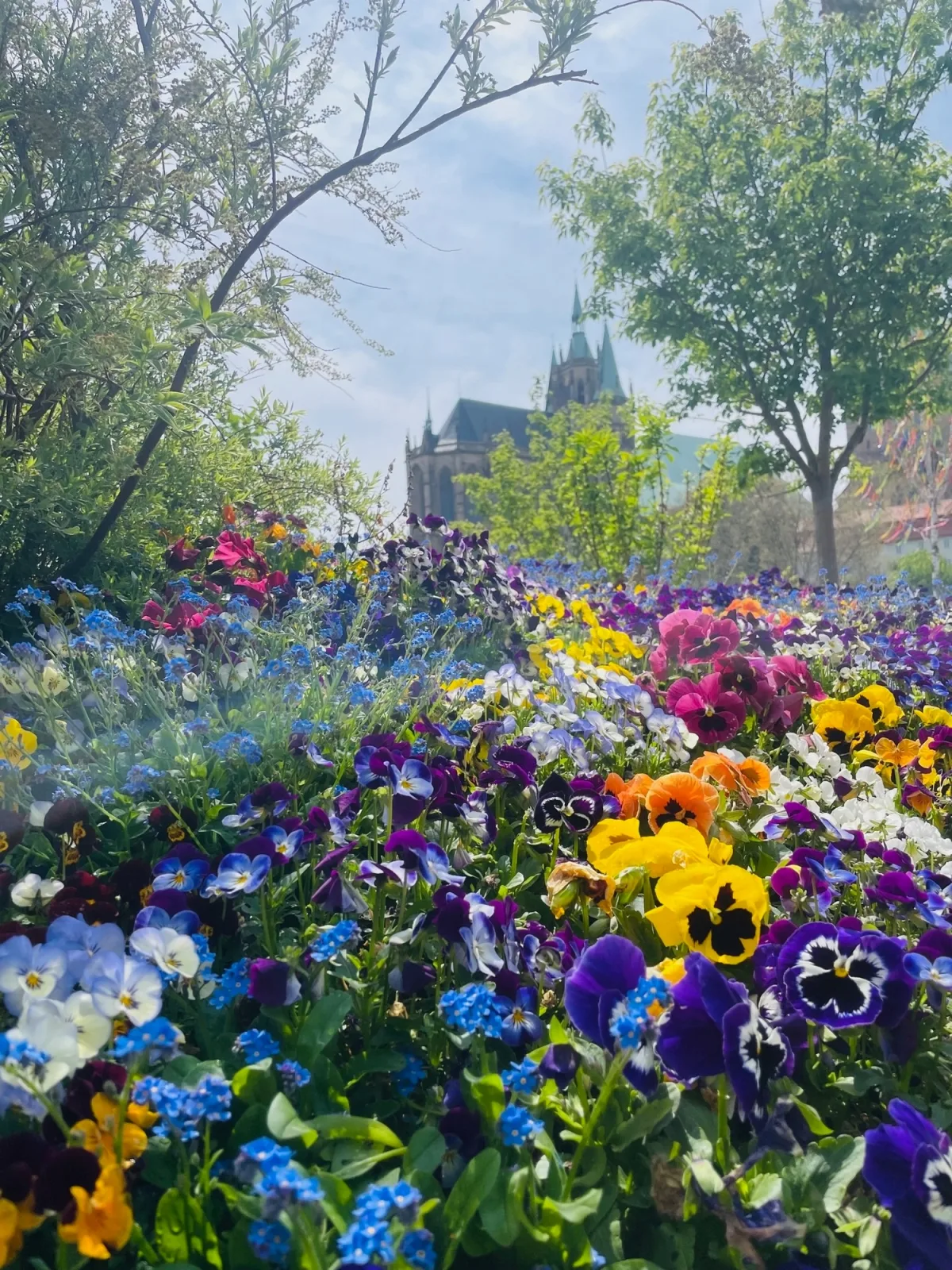"Erfurt genießen"