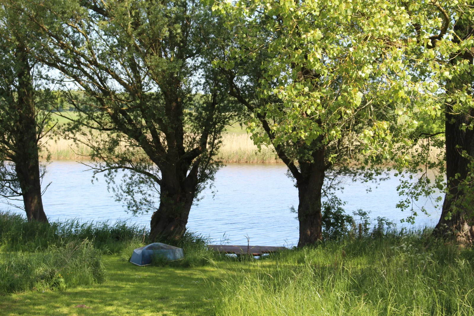 Reetdachhaus direkt am Wasser