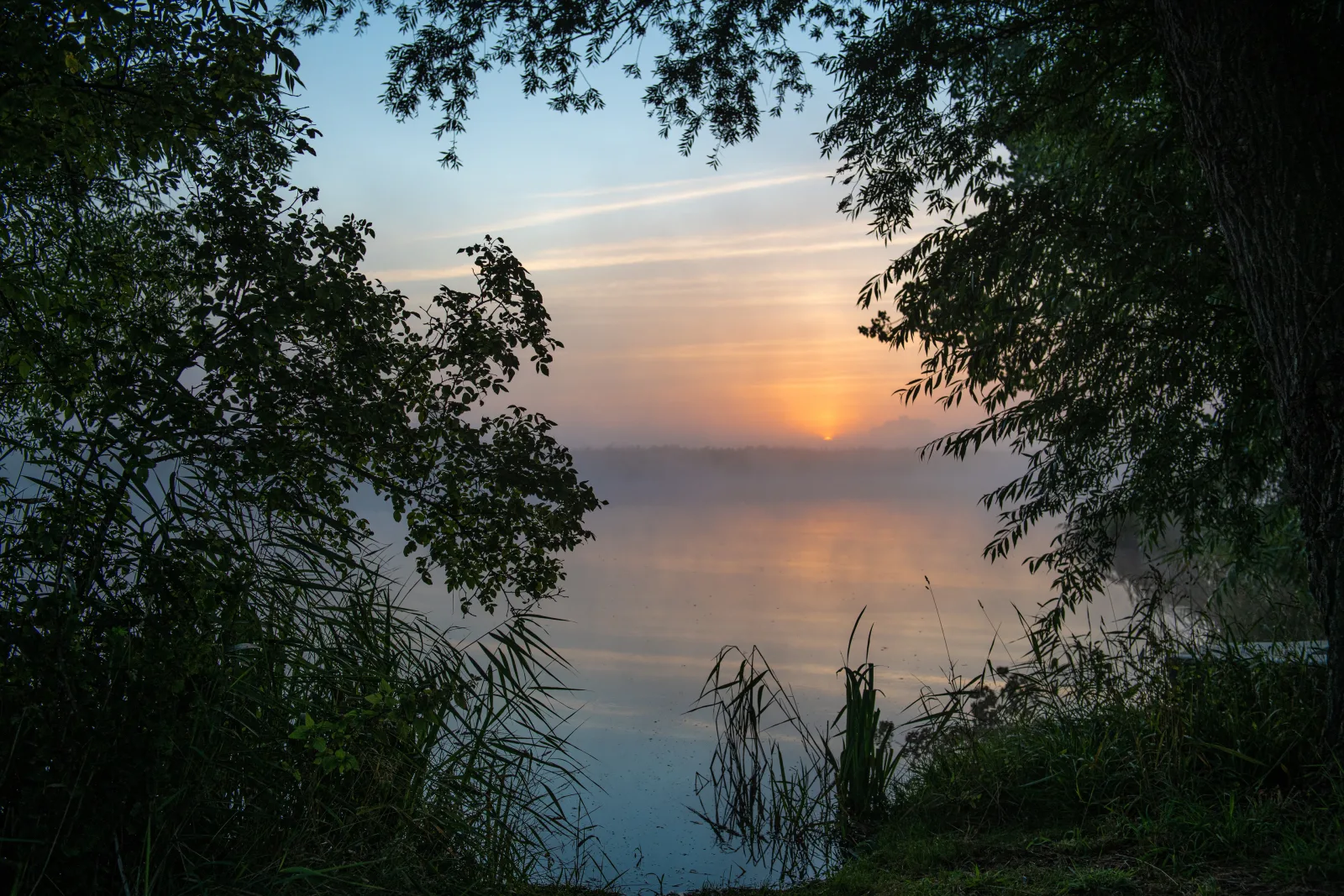 Reetdachhaus direkt am Wasser