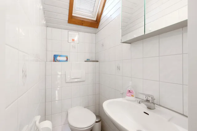 Urlaub mit Seeblick, Kamin und Sauna - Ferienhaus Felix von Mein-Seepark