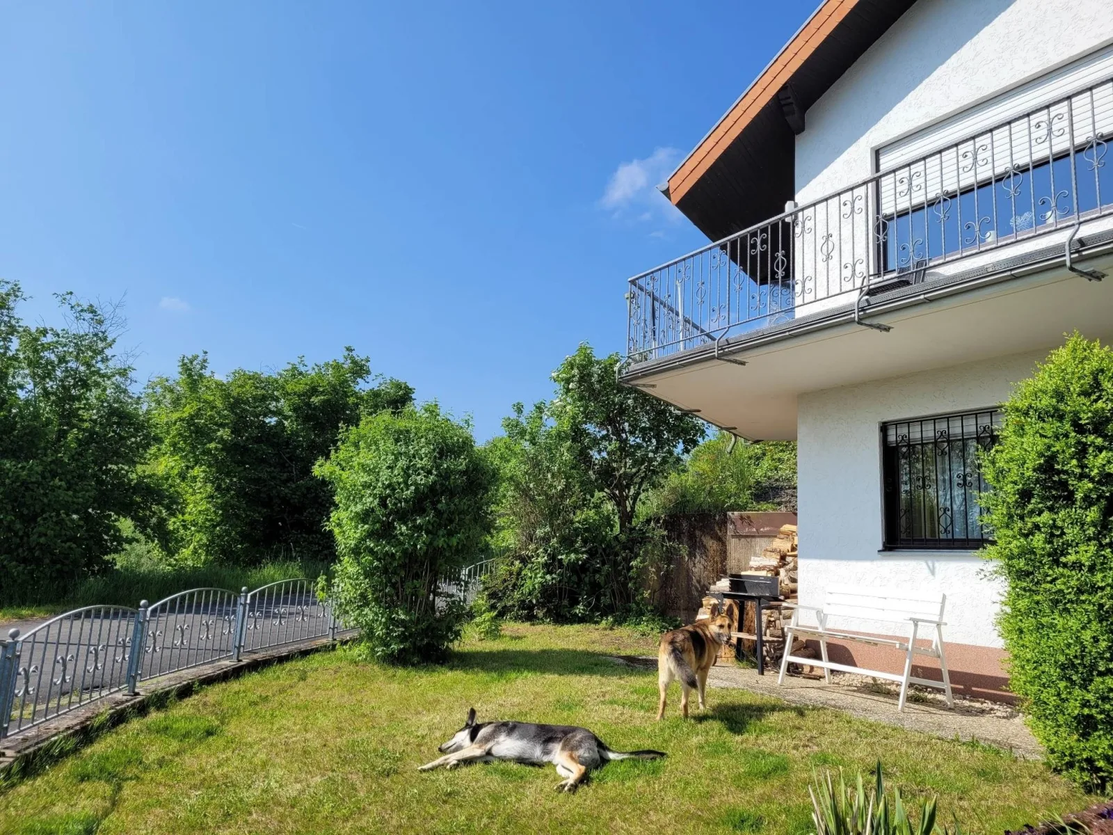 Eifel Urlaub mit Hunden Ferienhaus Schwalbennest Schalkenmehren