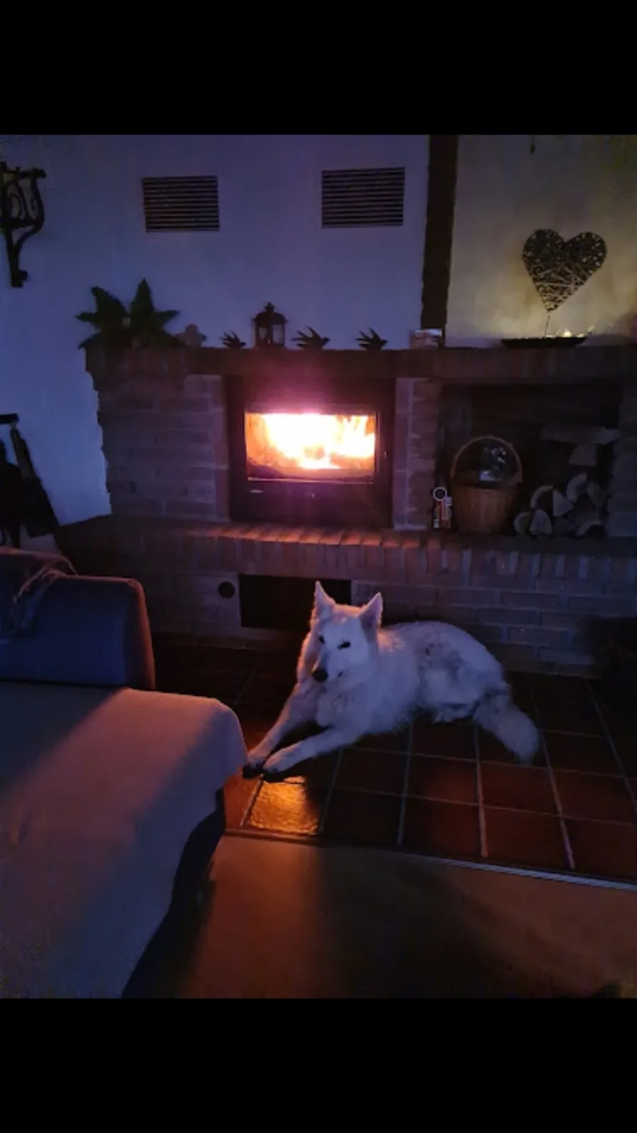Eifel Urlaub mit Hunden Ferienhaus Schwalbennest Schalkenmehren