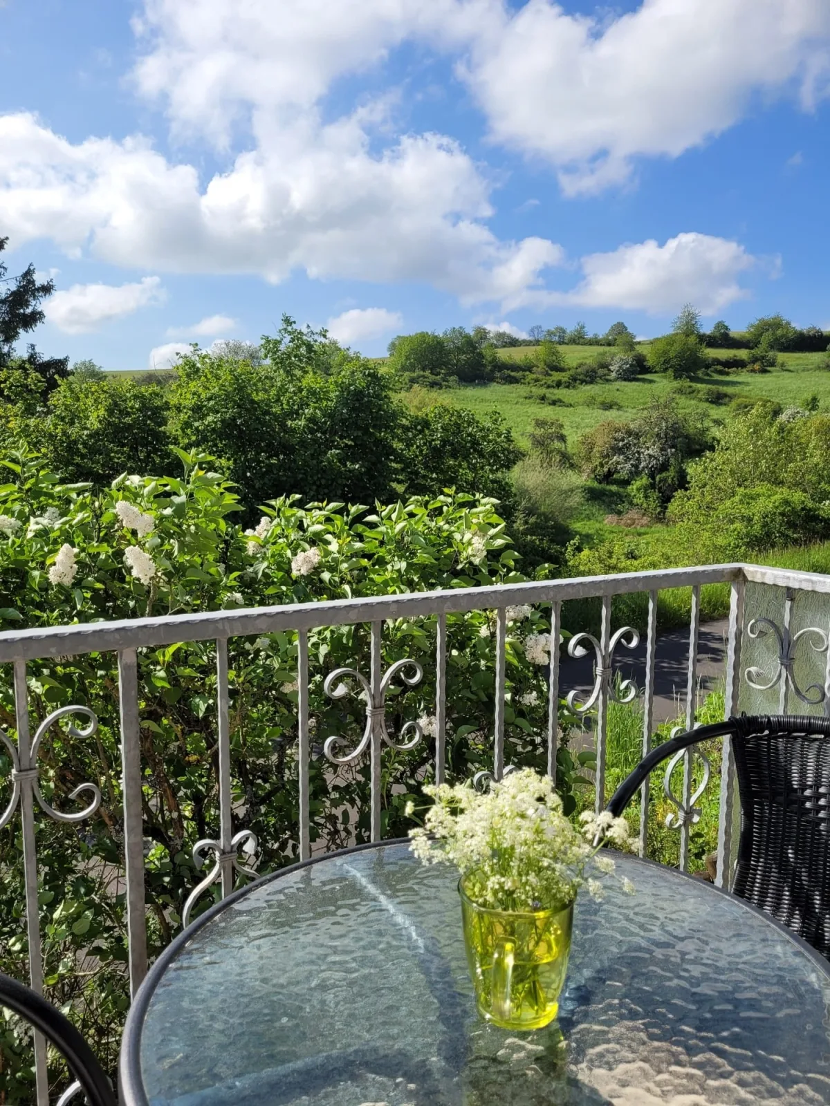Eifel Urlaub mit Hunden Ferienhaus Schwalbennest Schalkenmehren
