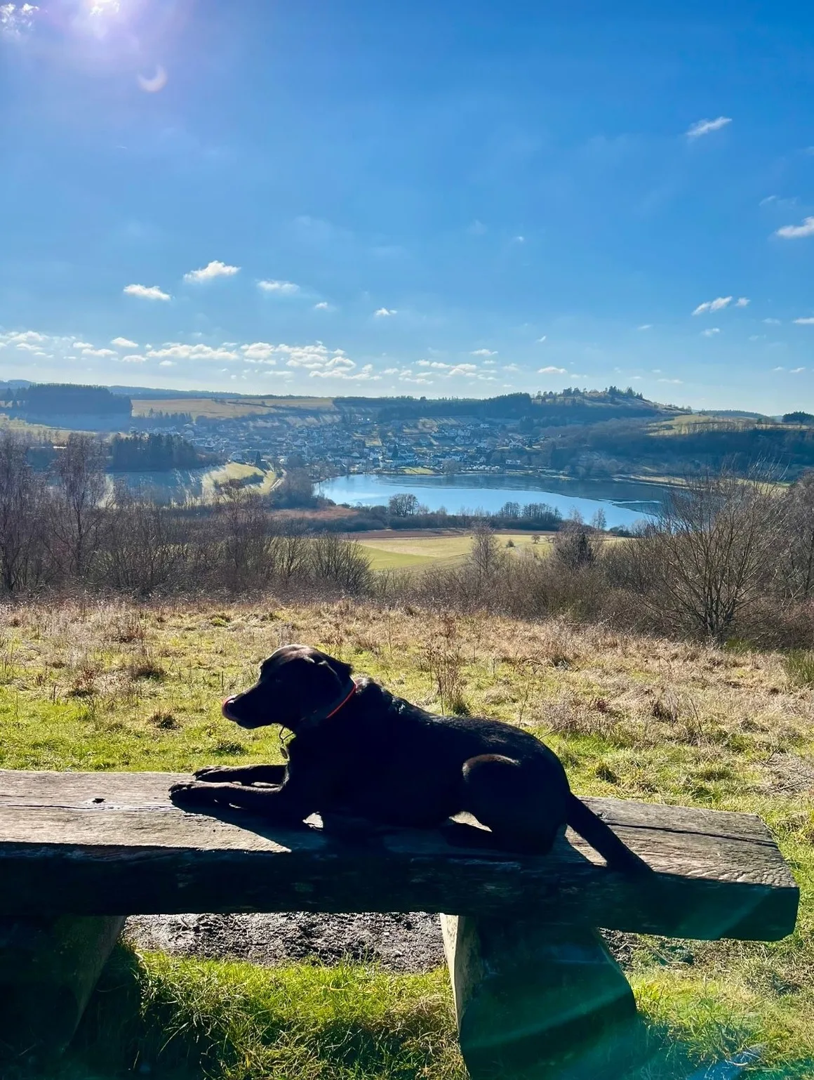 Eifel Urlaub mit Hunden Ferienhaus Schwalbennest Schalkenmehren