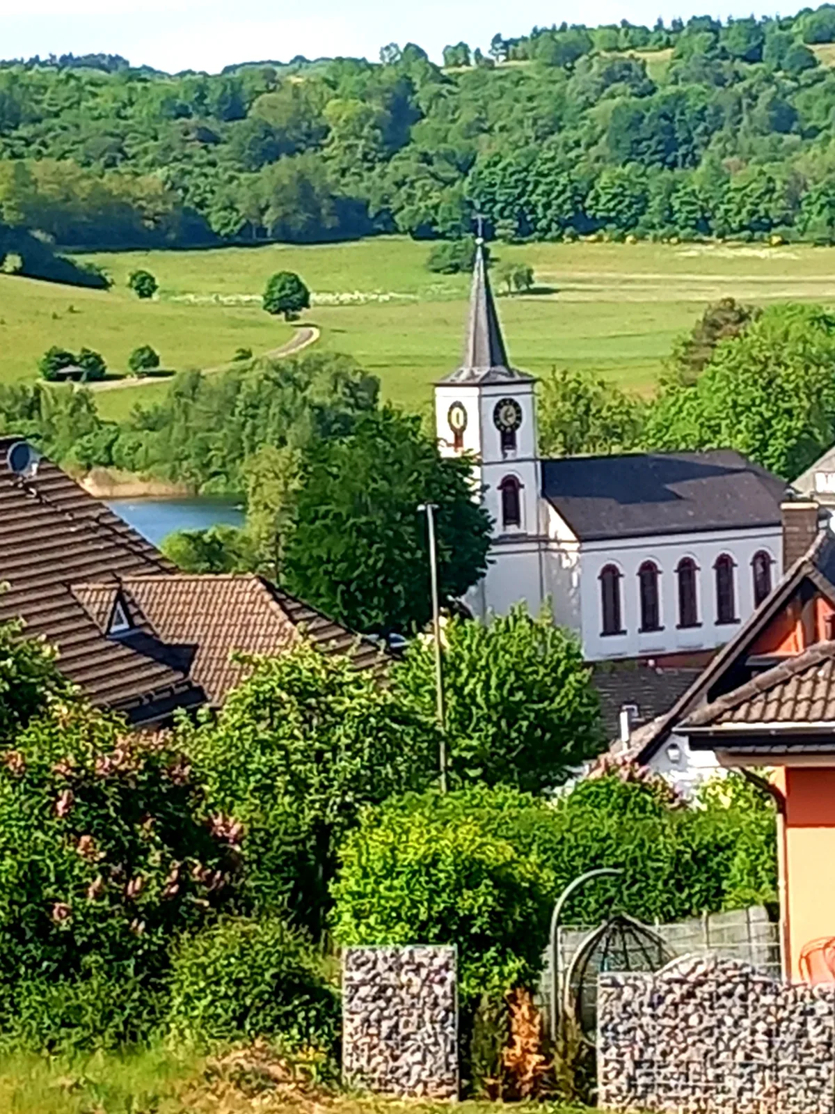 Eifel Urlaub mit Hunden Ferienhaus Schwalbennest Schalkenmehren