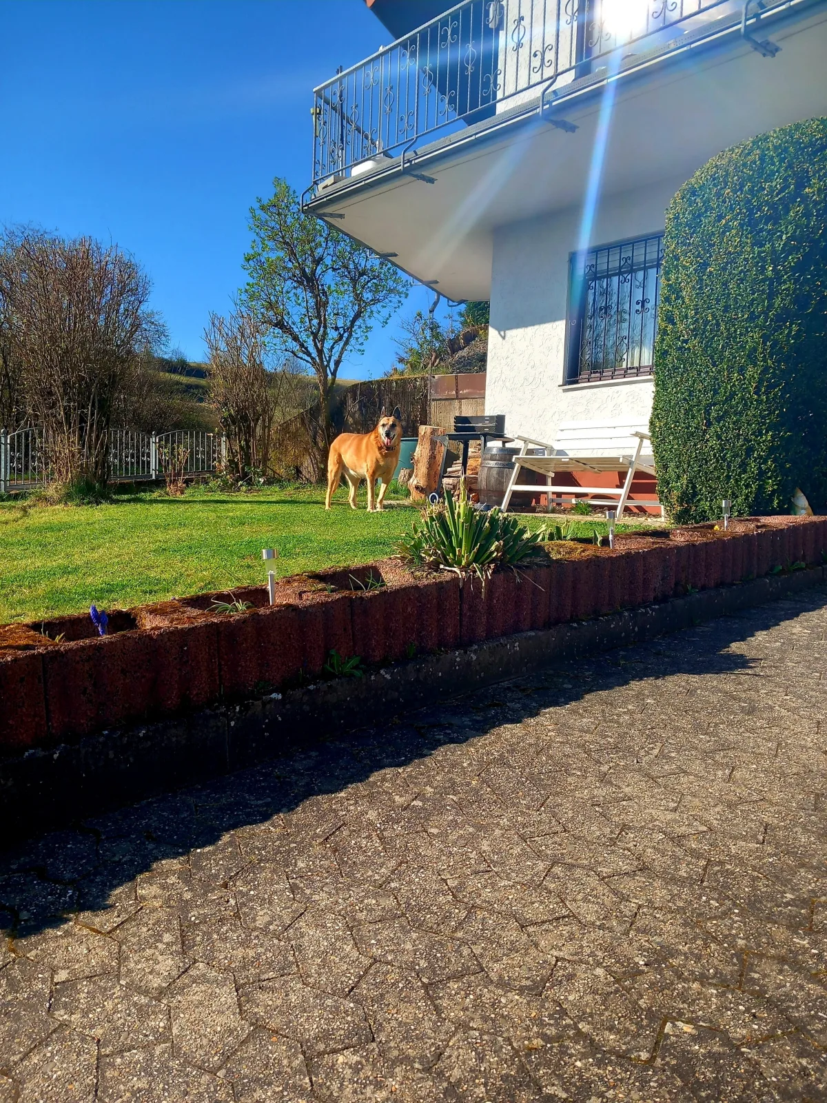 Eifel Urlaub mit Hunden Ferienhaus Schwalbennest Schalkenmehren
