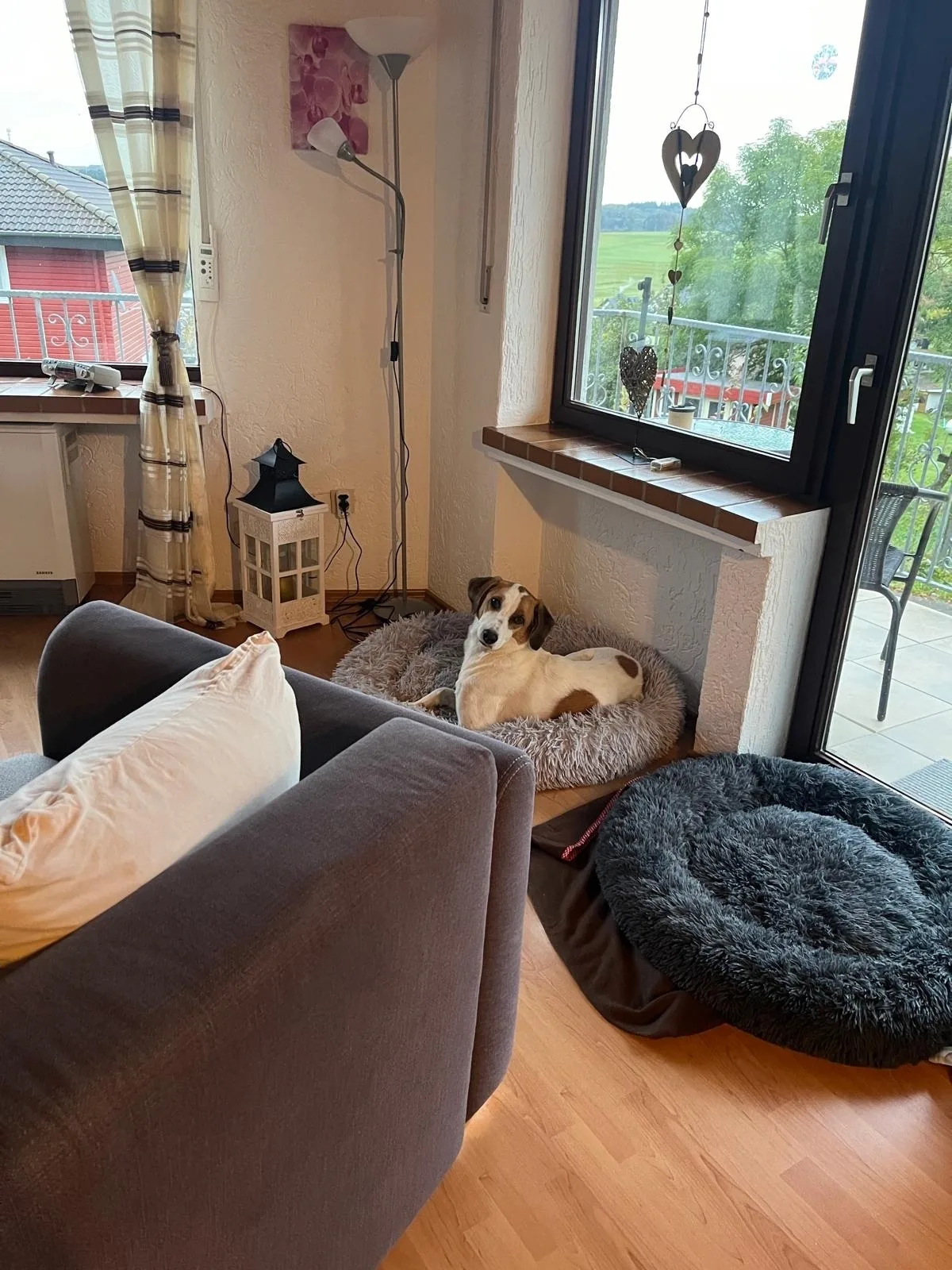 Eifel Urlaub mit Hunden Ferienhaus Schwalbennest Schalkenmehren