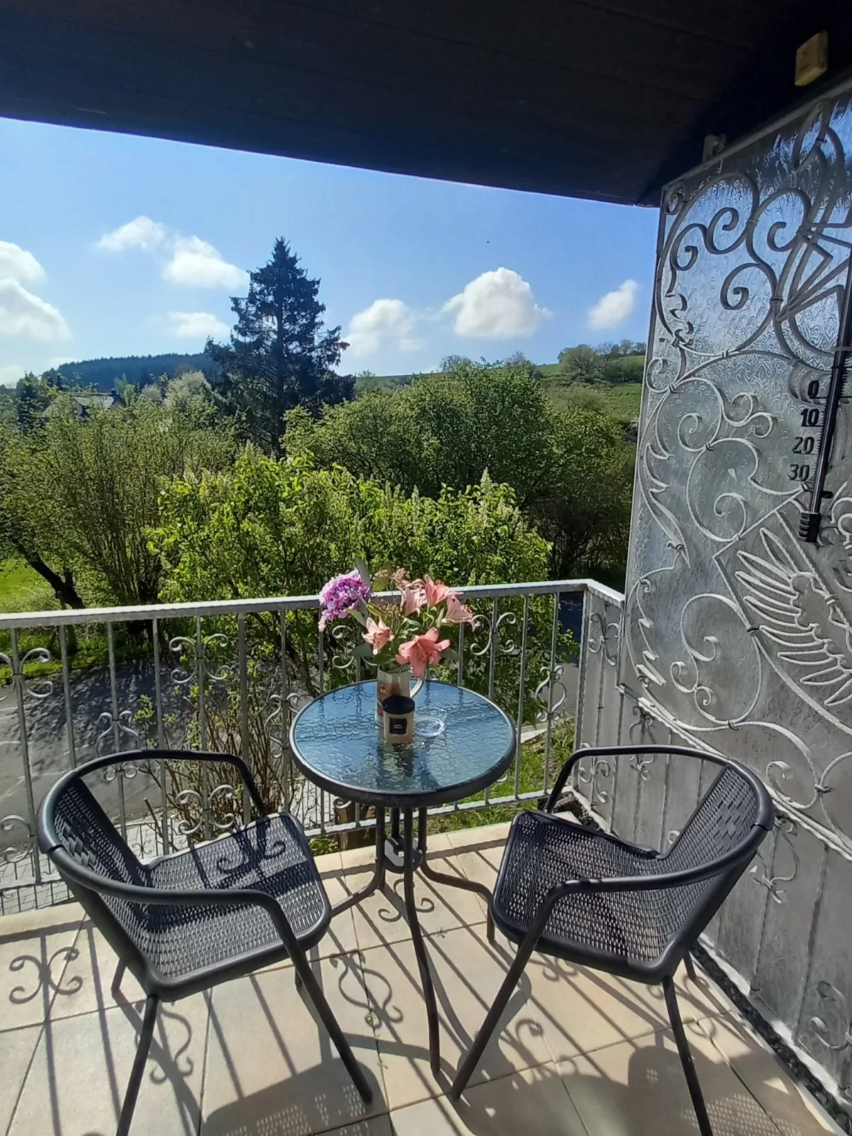 Eifel Urlaub mit Hunden Ferienhaus Schwalbennest Schalkenmehren