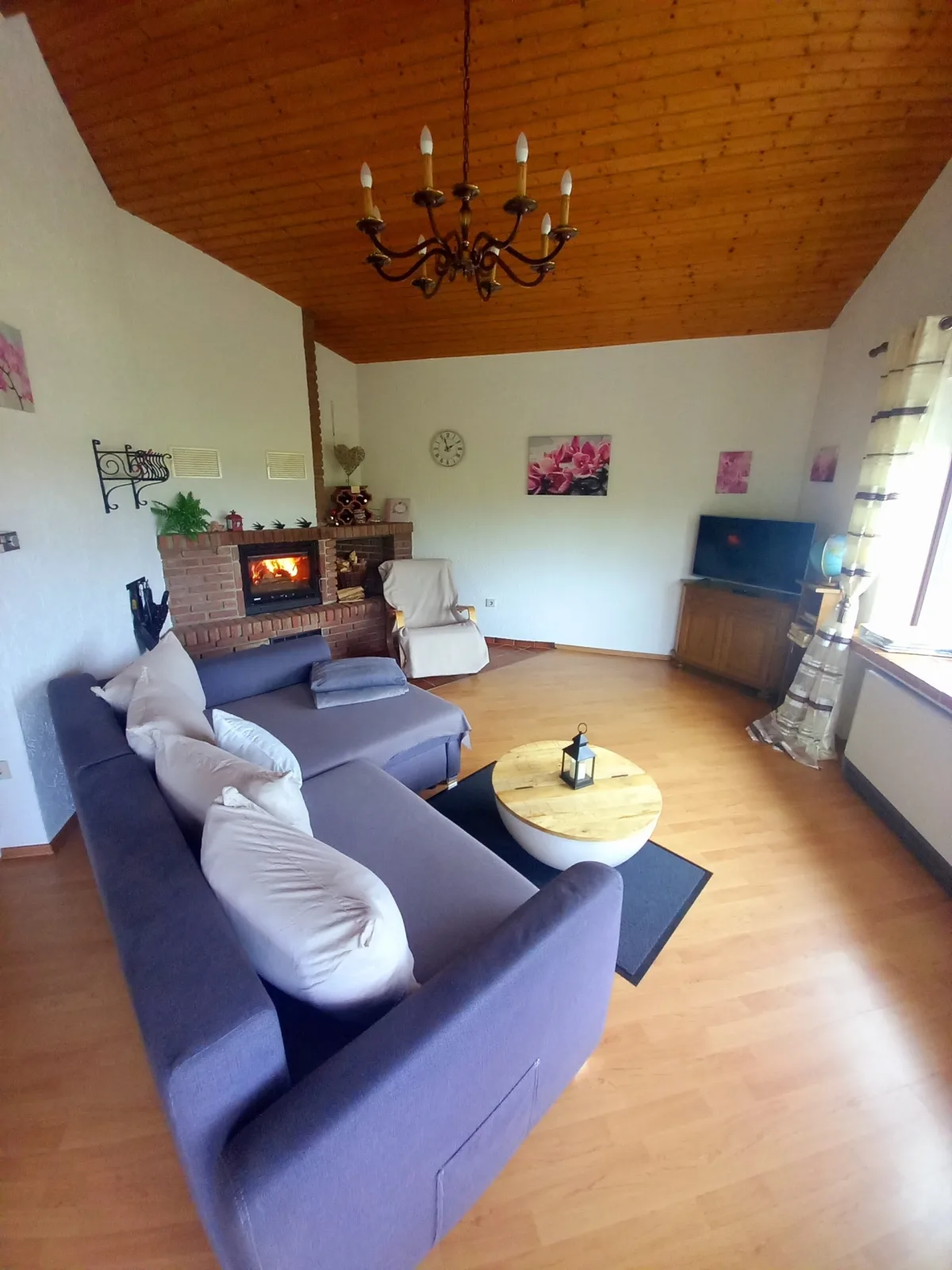 Eifel Urlaub mit Hunden Ferienhaus Schwalbennest Schalkenmehren