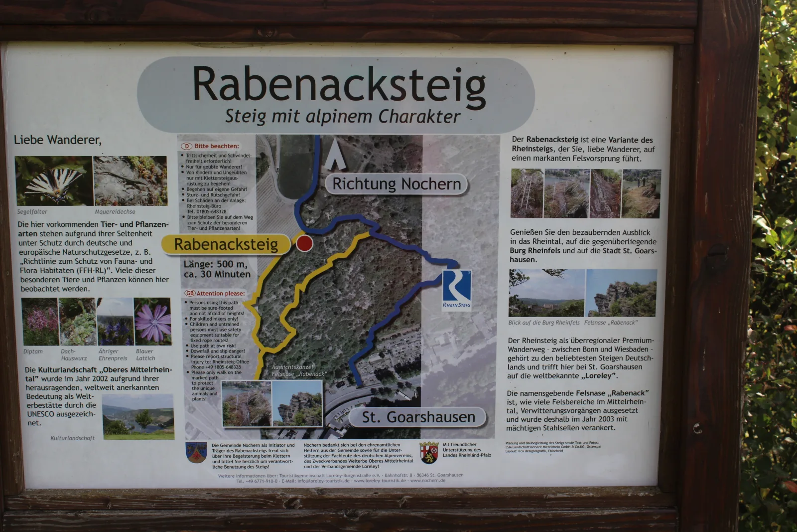 Rheinsteig