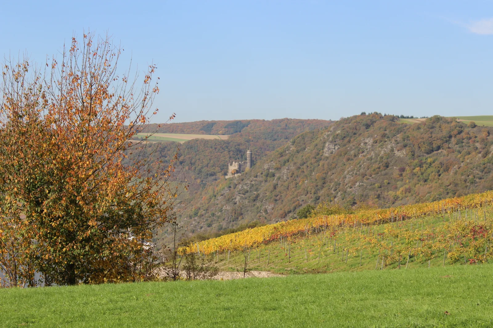 Rheinsteig