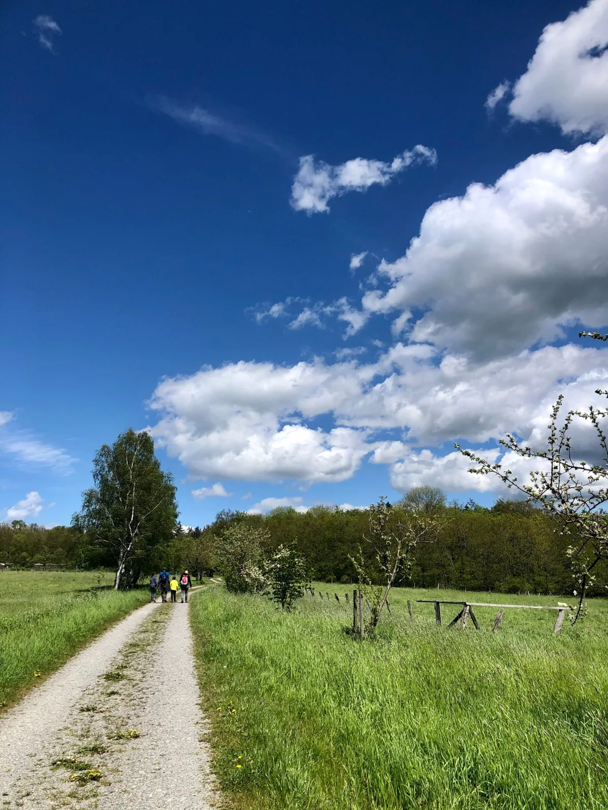 Alte Försterei Goldbeck