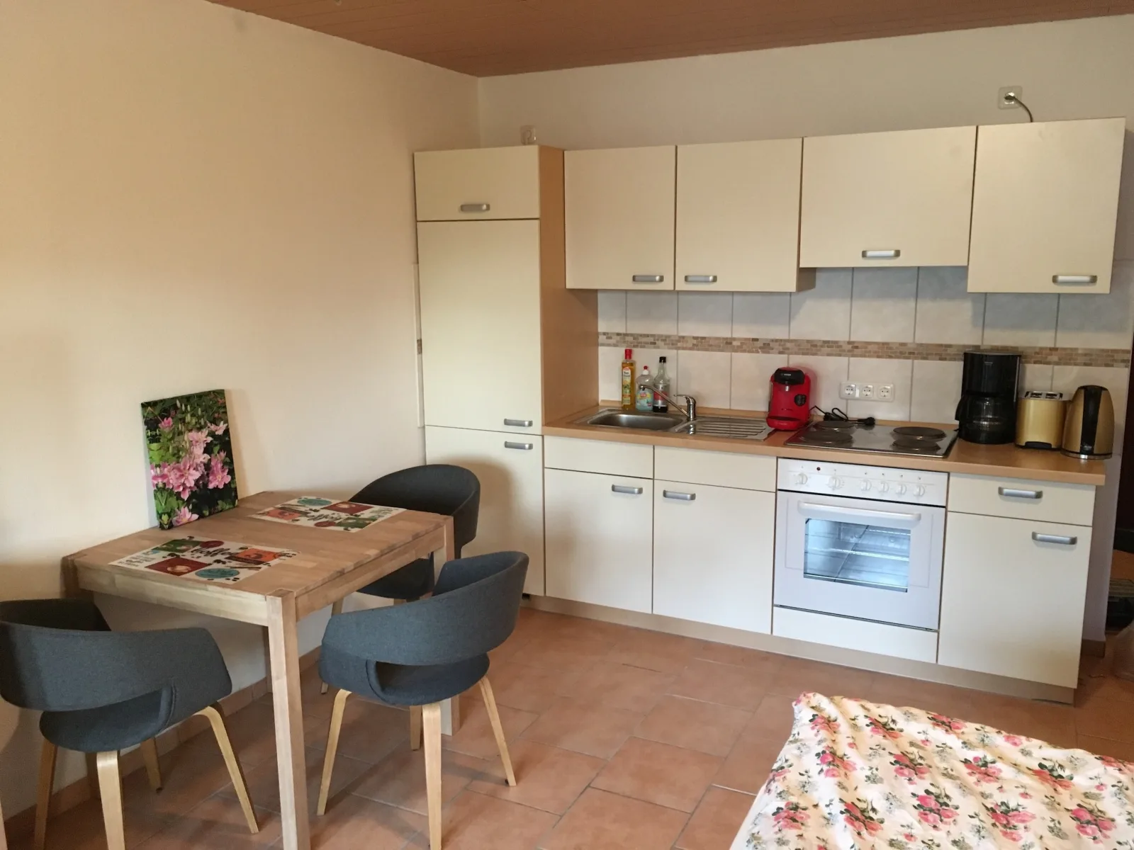 Haus Deichläufer Wohnung Regenpfeifer #2
