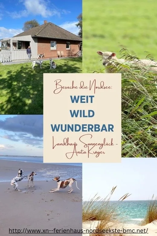Landhaus Sonnenglück-freistehend und eingezäunt auf ca 1,20m