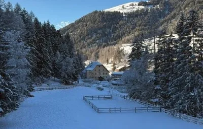Ferienwohnung Dackel