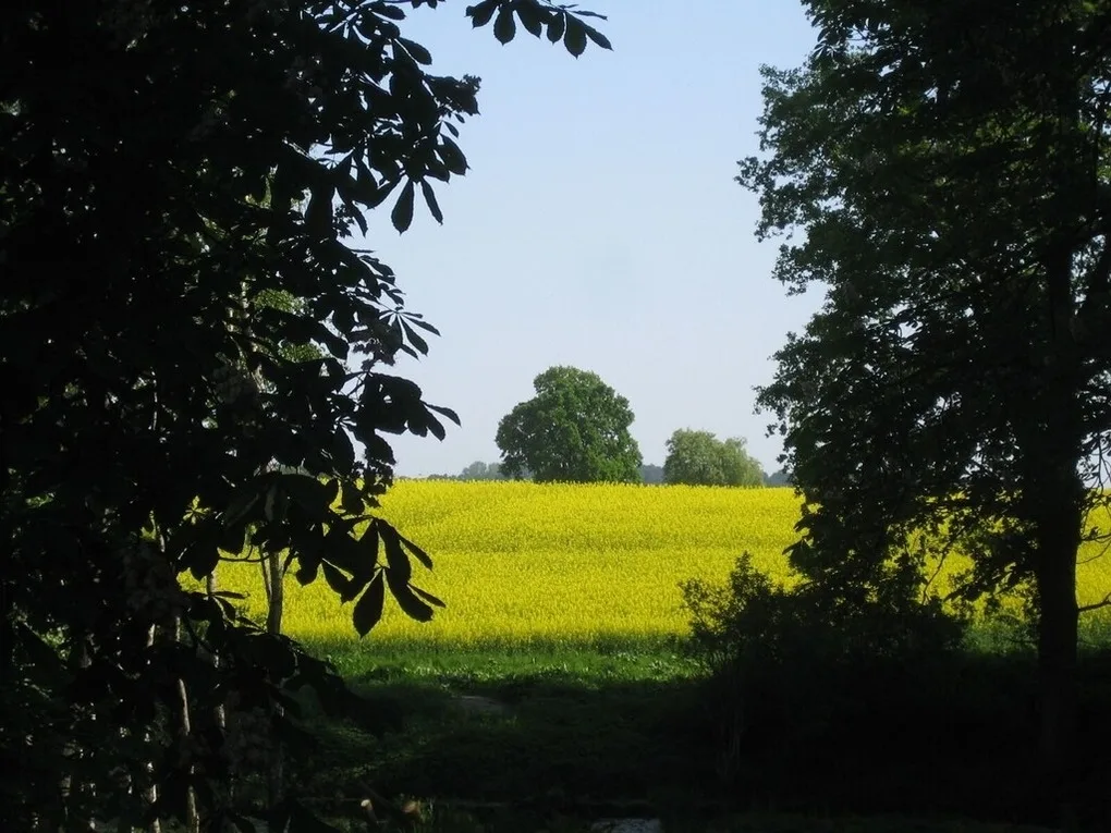 Gutshaus Hinrichsberg: Parkblick