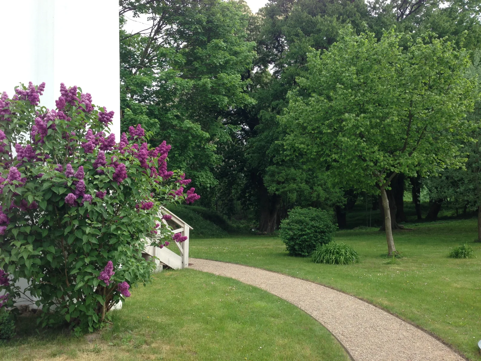 Gutshaus Hinrichsberg: Parkblick