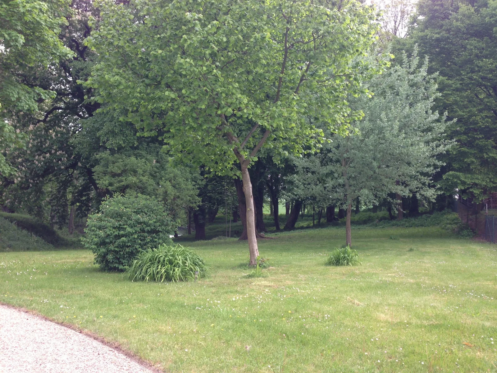 Gutshaus Hinrichsberg: Parkblick