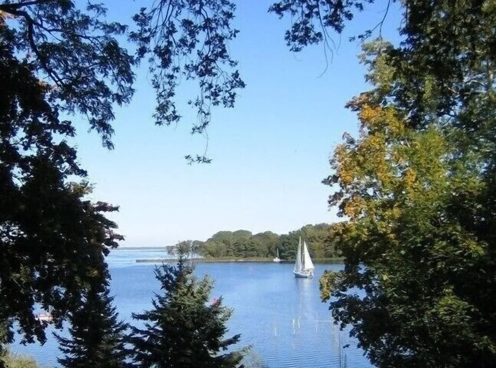 Gutshaus Hinrichsberg: Parkblick