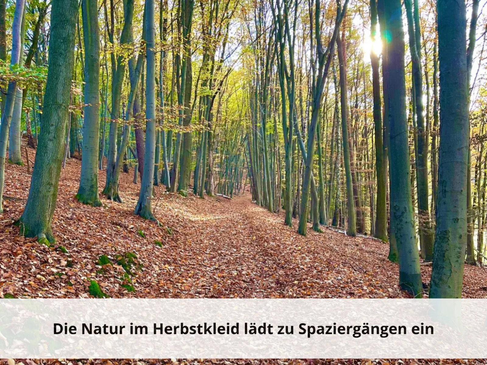 Entspannung mit Seeblick ☆ Haus Heike von Mein-Seepark