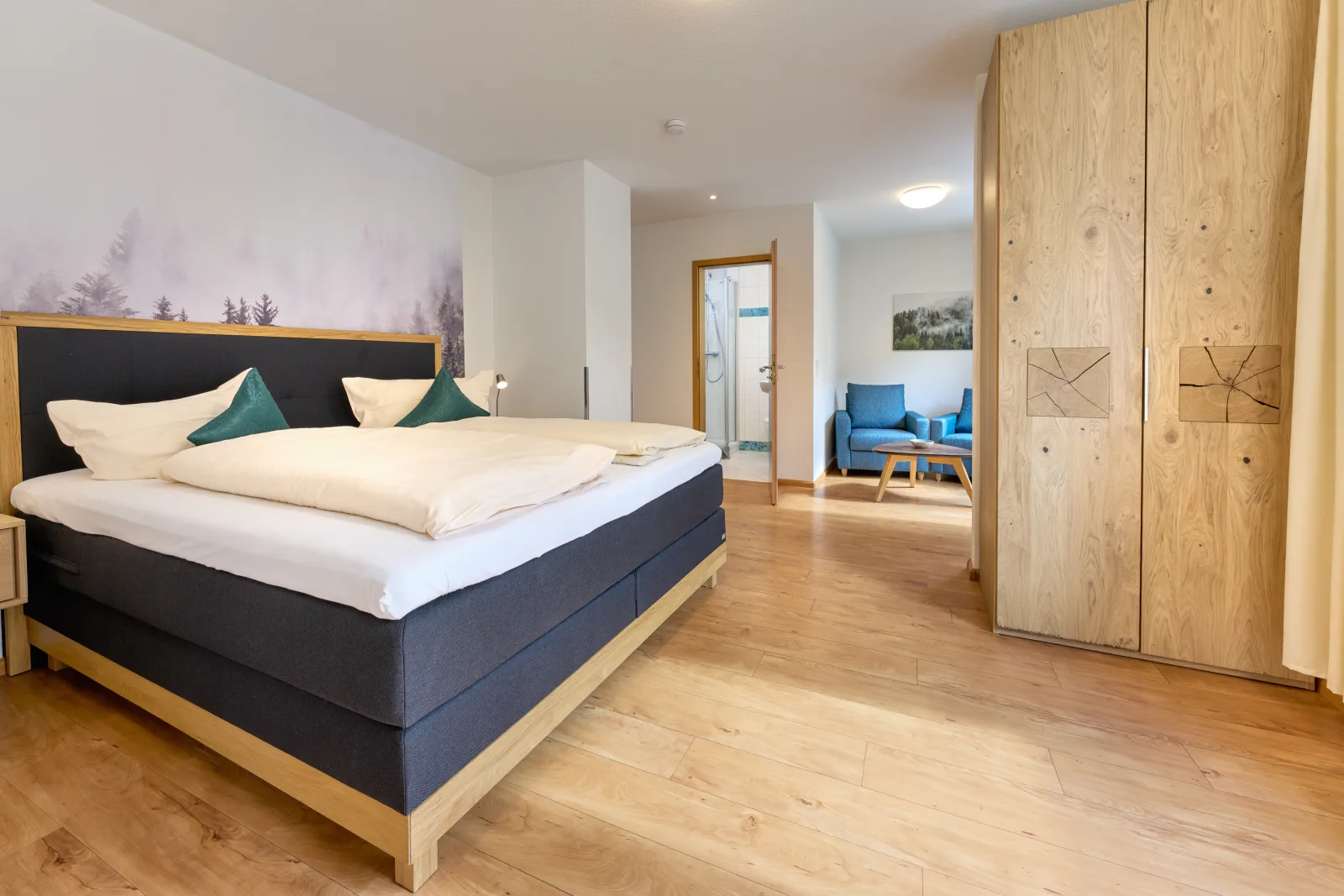 Thermen Appartments Gabriela, Appartement 40 qm²