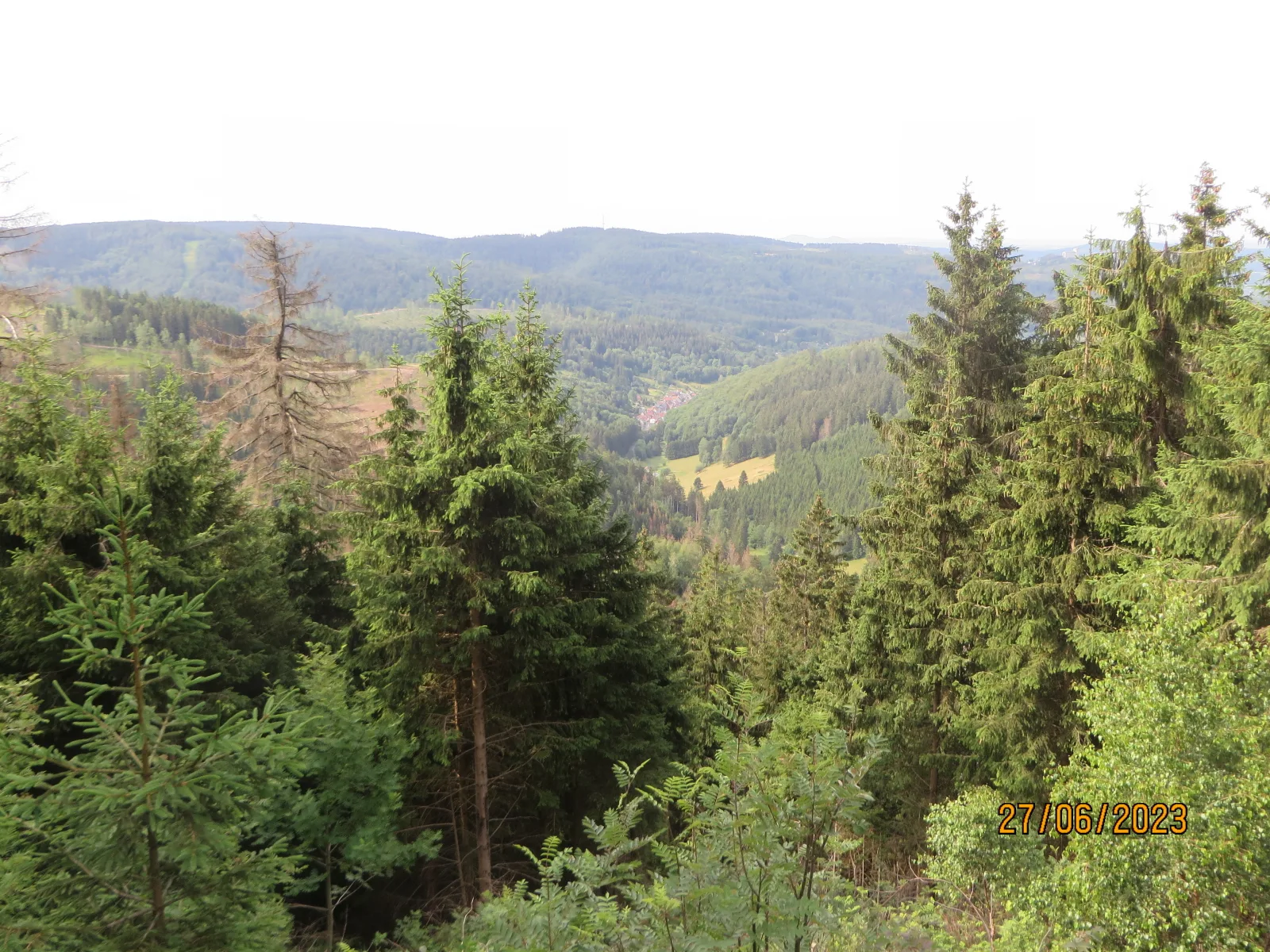 Bergblick
