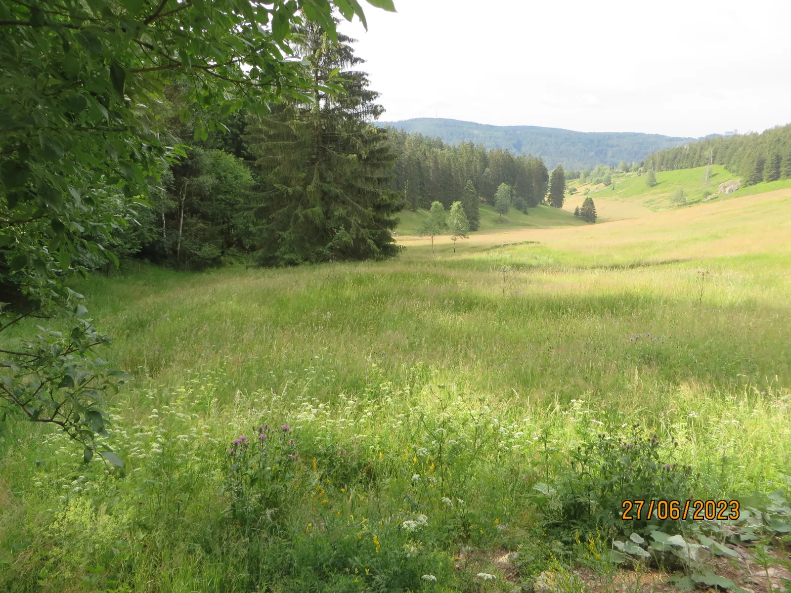 Bergblick